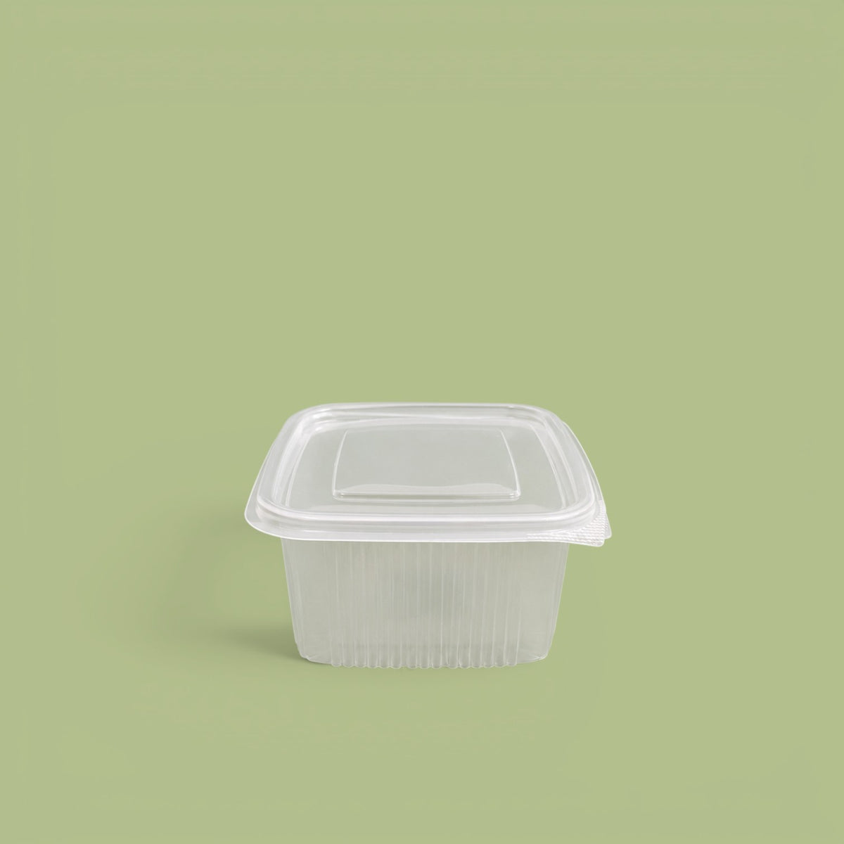 Hard plastic container 500 g