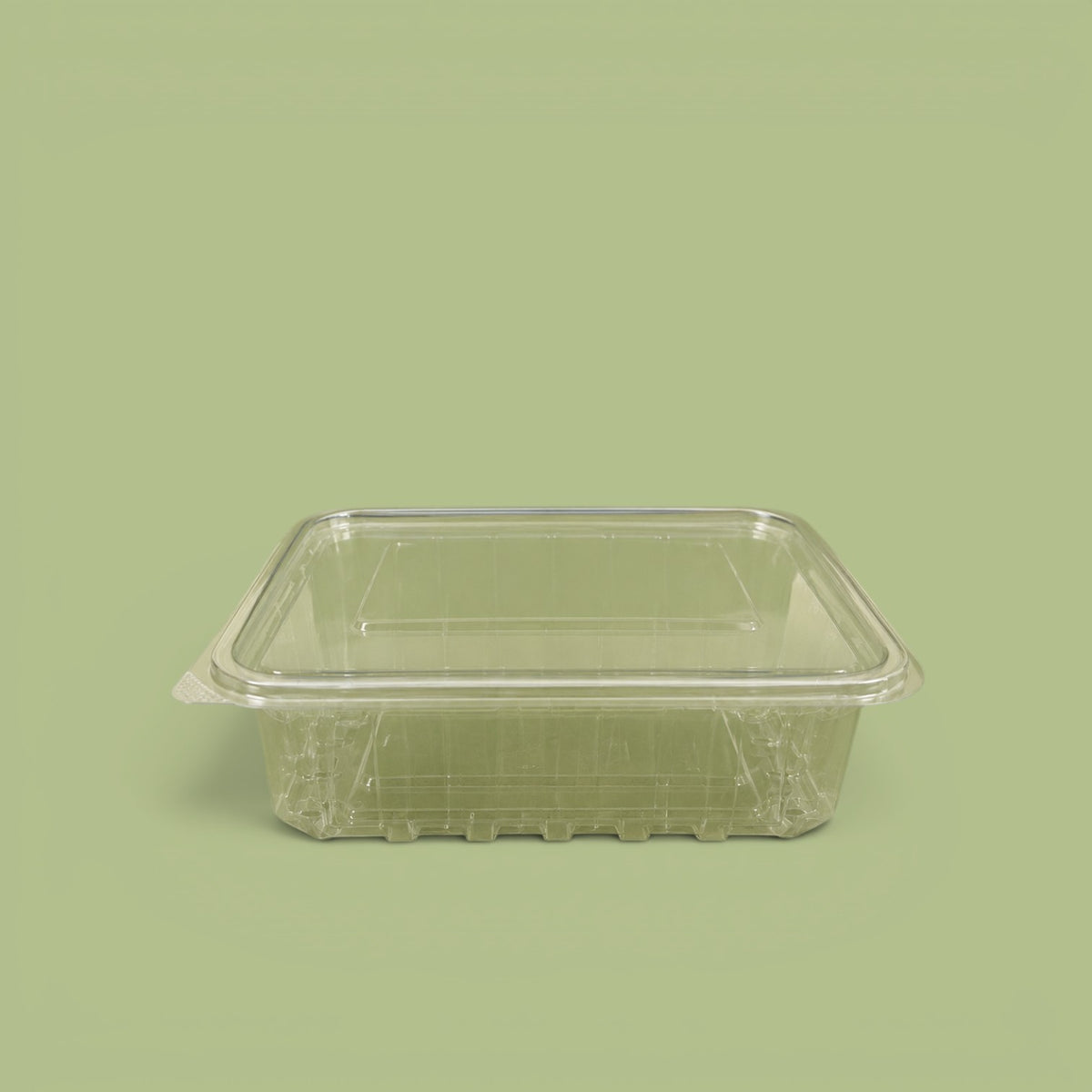 Plastic container 2000 g