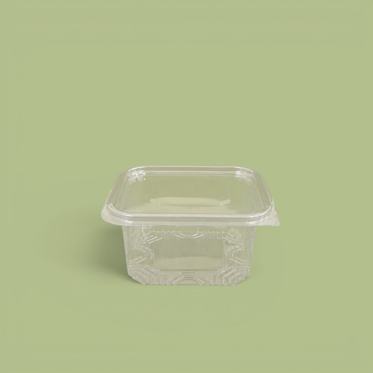 Plastic container 500 g