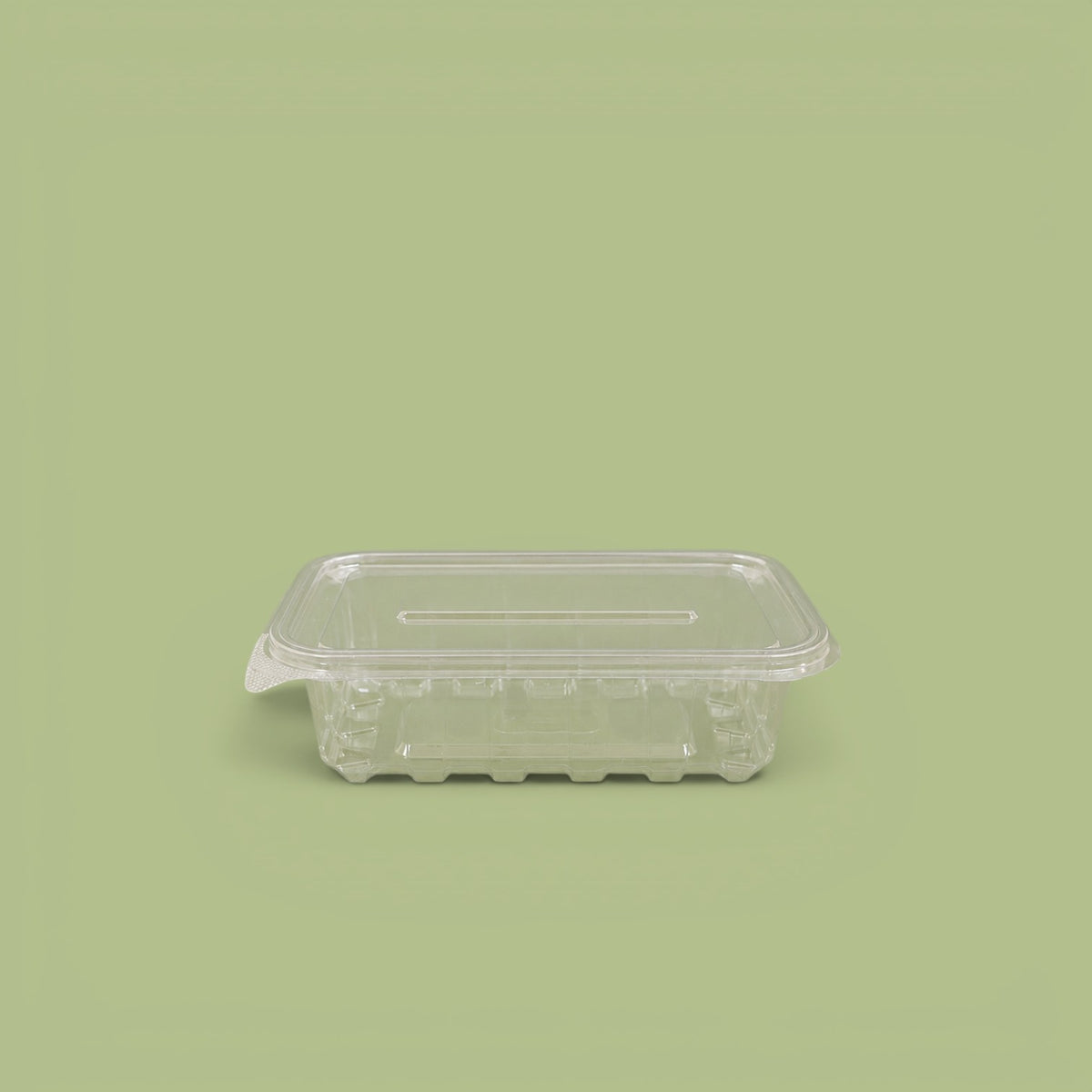 Plastic container 750 g